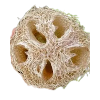 Aegyptiaca | Classic Luffa | 1 Pc