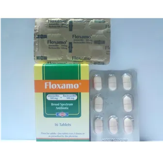 Floxamo Antibiotic 1g | 16 Tabs