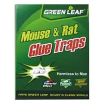 Green Leaf | Mouse & Rat Glue Traps