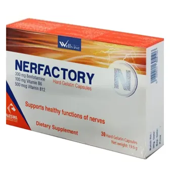 Nerfactory | 30 Caps