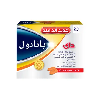PANADOL COLD & FLU DAY 24 CAPLETS