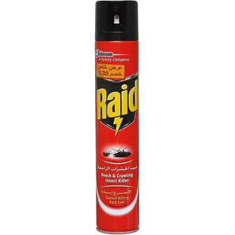 Raid | Roach and Crawling Insect Killer | 500ml